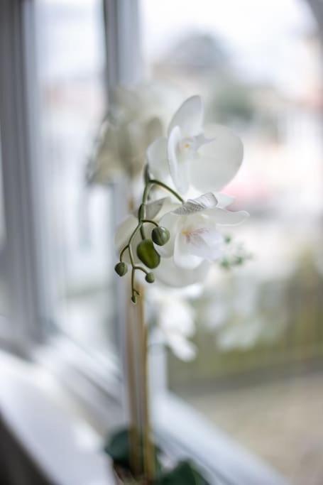 Coastal Haven In Leigh-On-Sea Apartment Southend-on-Sea Ngoại thất bức ảnh